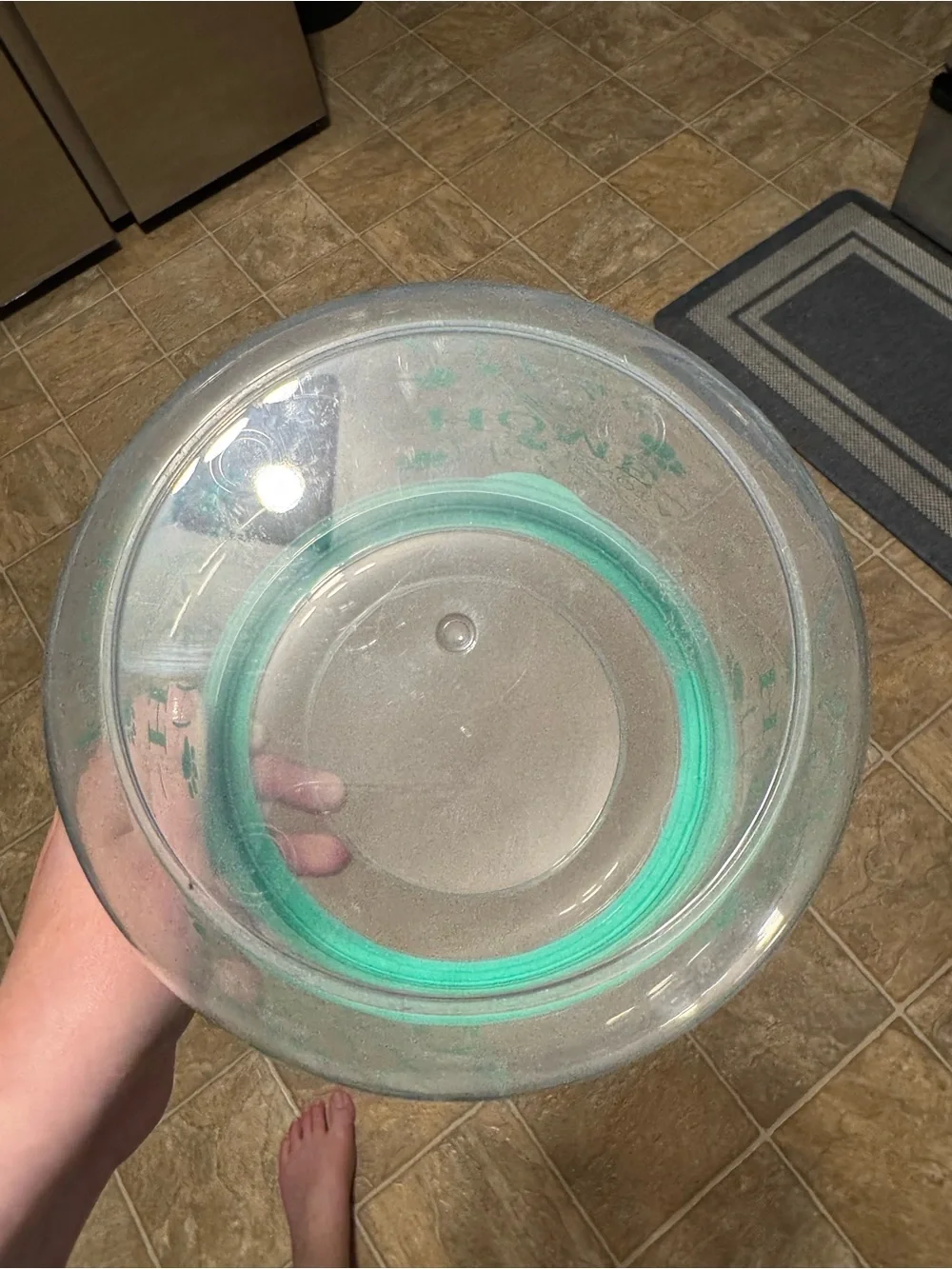 Treat Canister with Mint Paw Print Design